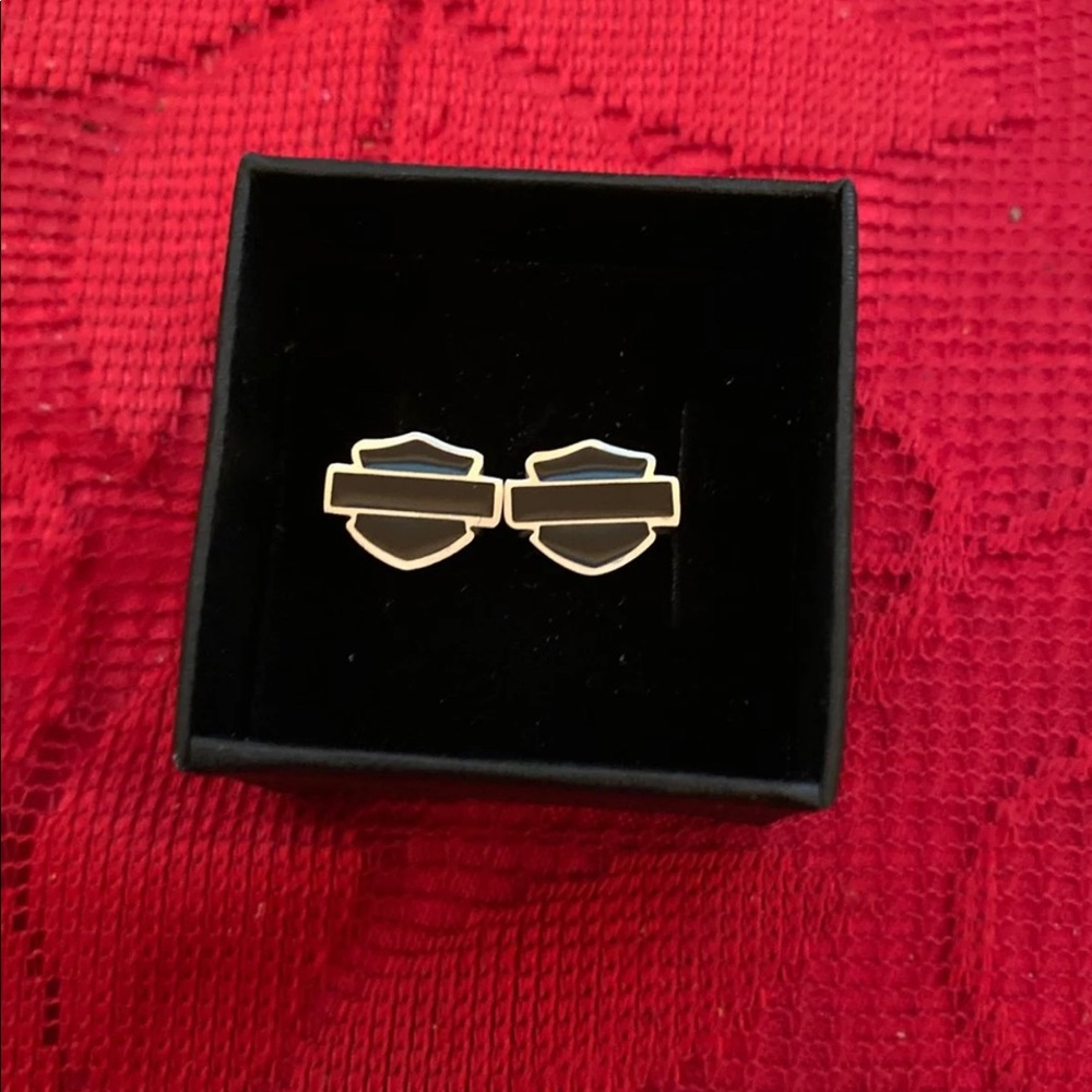 Limited! 🔥HD Shield Earrings - Picture 2 of 2